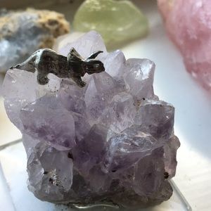 Amethyst Crystal with triceratops